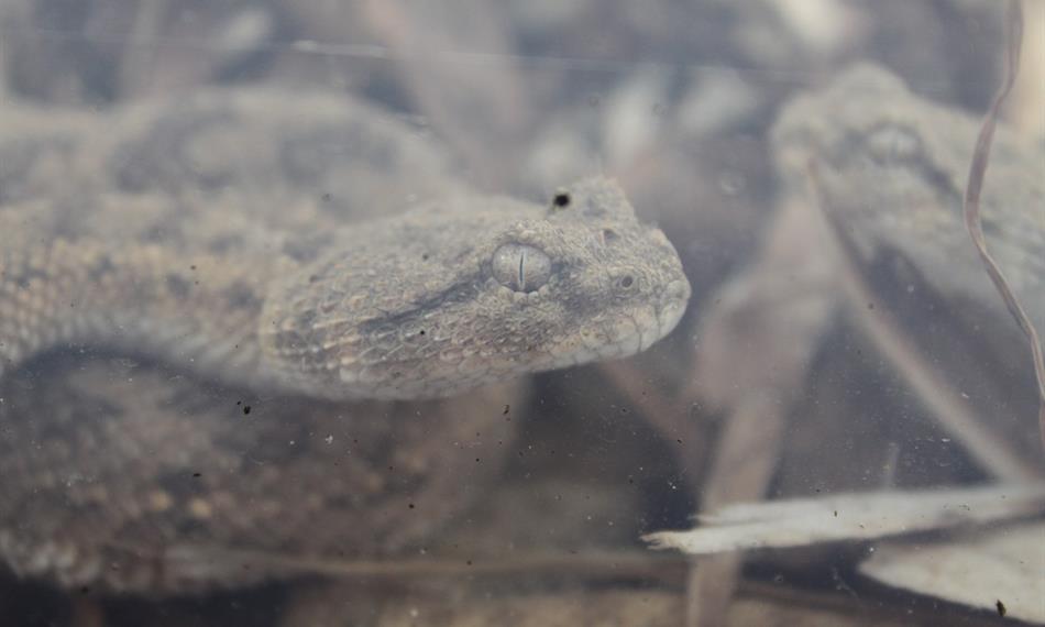 2014-10-21-941CITES 2.jpg